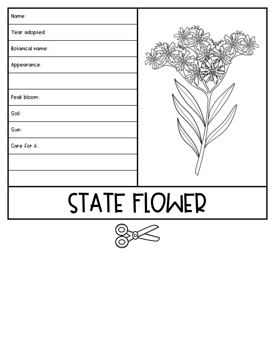 State Flower flipbook sheet includes a flower illustration and prompts for botanical name, bloom, and care