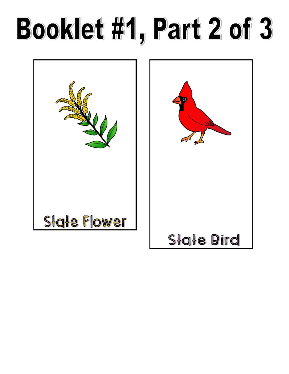 Color booklet part 2: state flower page with a yellow flower sprig and state bird page with a red cardinal to label