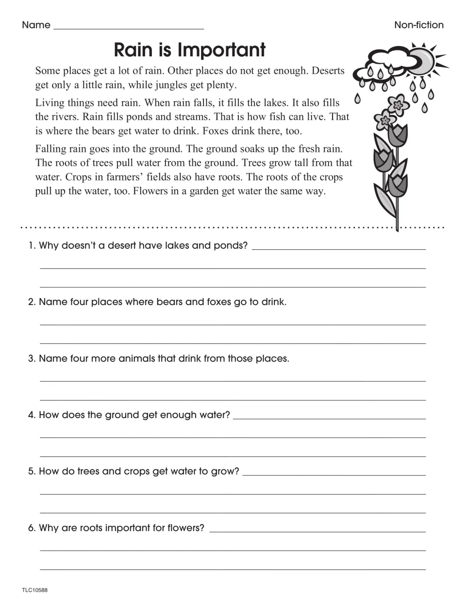 Rain is Important: students read how rain fills lakes and feeds roots, then answer six questions using text details
