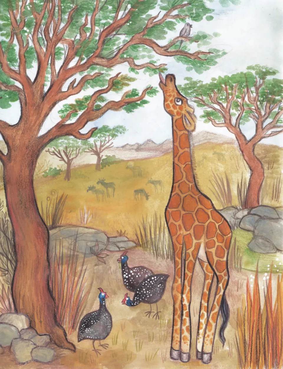 Safari counting book illustration continues the one-giraffe entry, showing a giraffe reaching for tree leaves