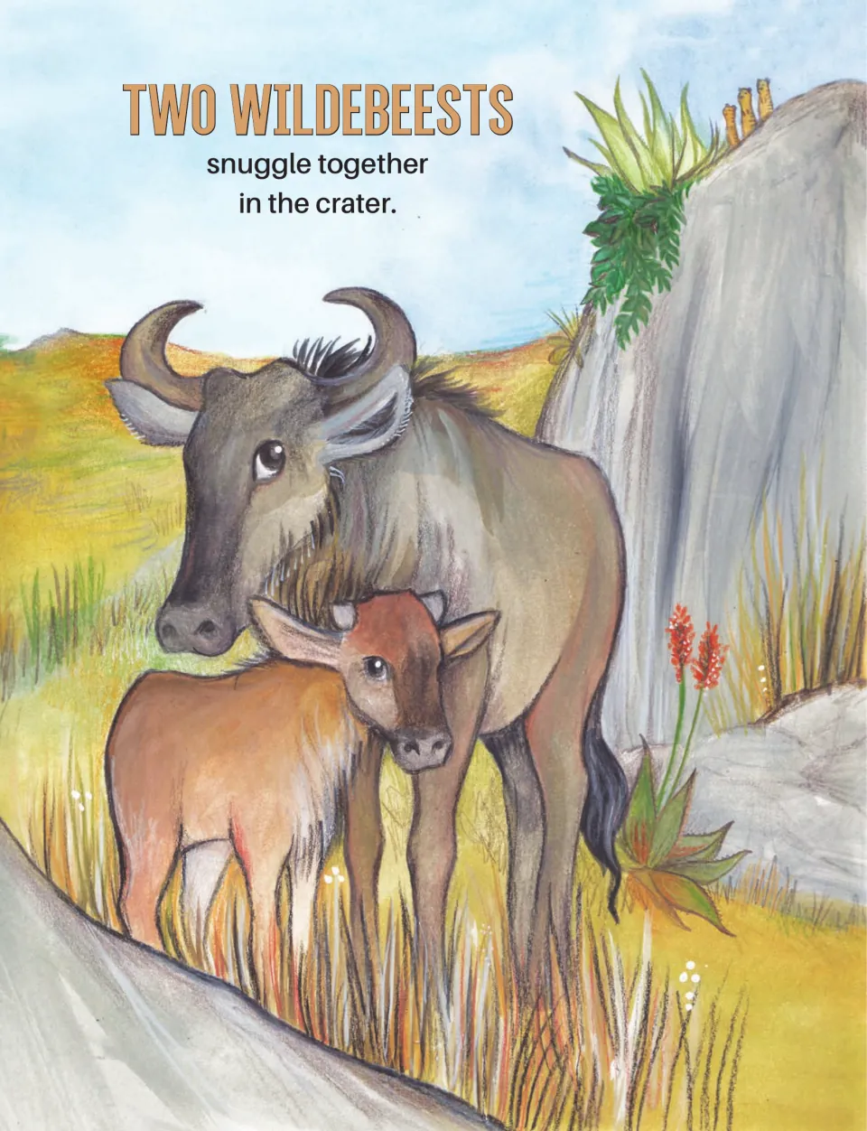 Safari counting book entry shows two wildebeests with the sentence 'Two wildebeests snuggle together in the crater'
