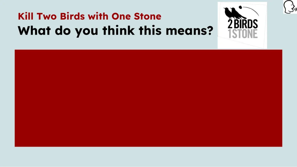 Opening response prompt asks students what they think the lesson’s idiom means before the video lesson