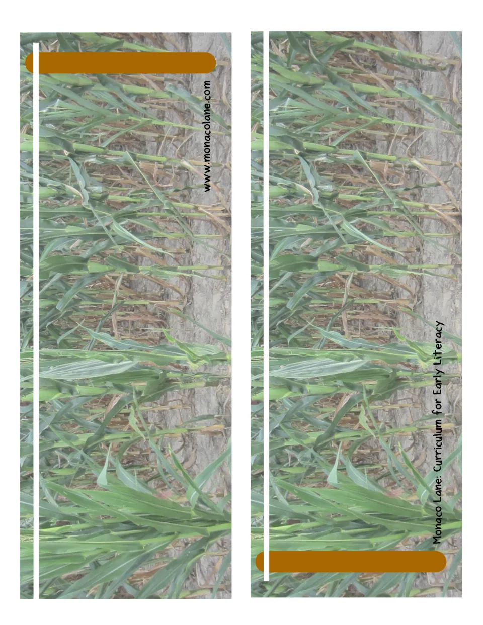 Clothesline cut-out pieces: two halves printed on a cornfield photo with a brown rod, taped together to form one line