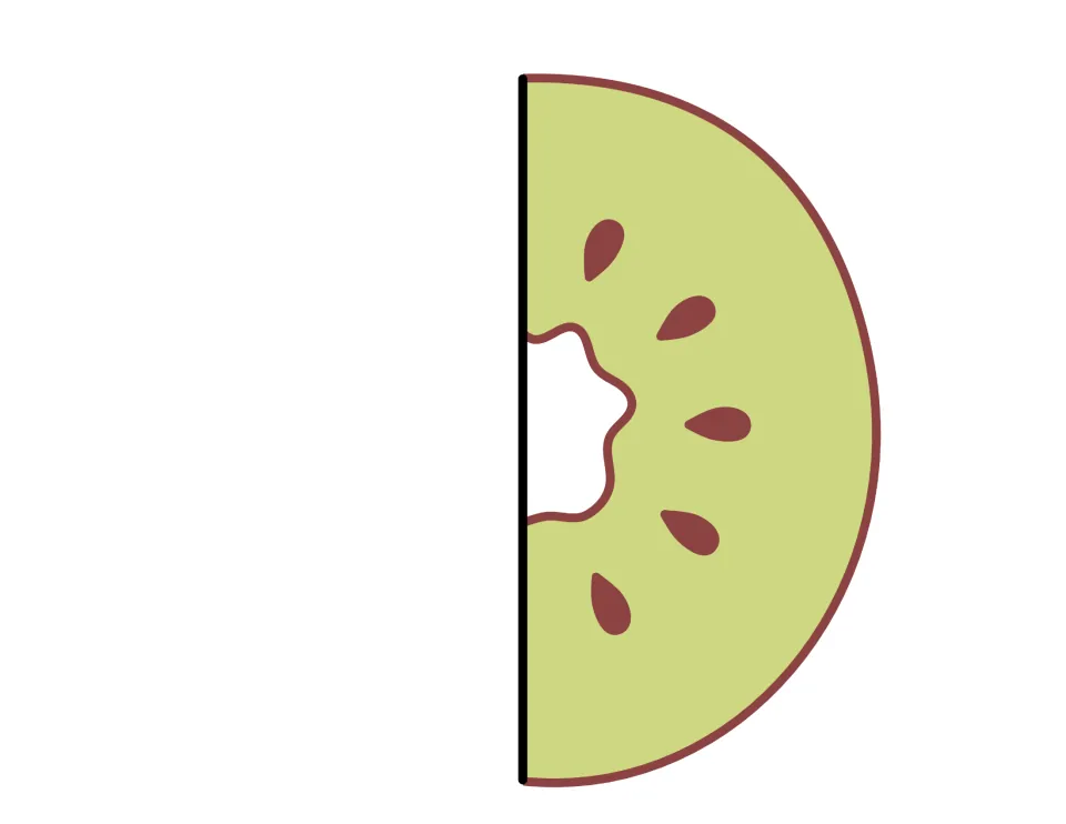 Right half of a kiwi fruit cutout for the life cycle foldable craft, showing green flesh and brown seeds