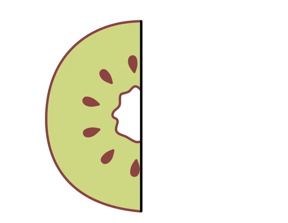 Left half of a kiwi fruit cutout for the life cycle foldable craft, showing green flesh and brown seeds
