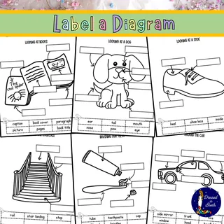 Label a Diagram – sample page 2