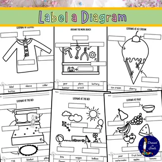 Label a Diagram – sample page 3