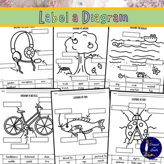 Label a Diagram – sample page 4
