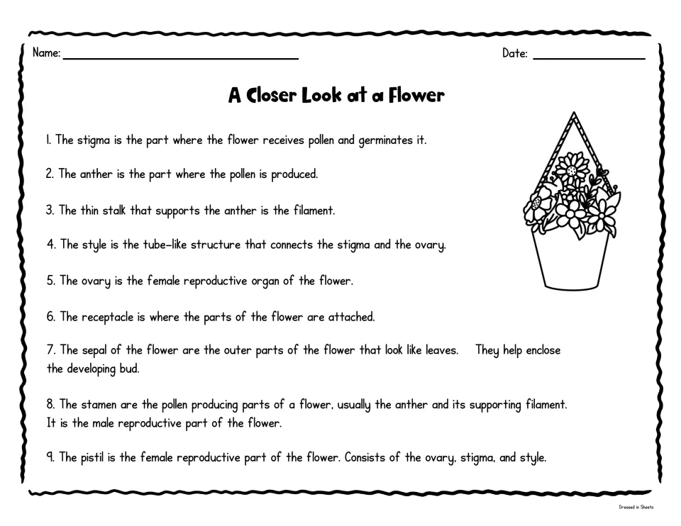 A Closer Look at a Flower: nine numbered definitions of flower parts, from stigma and anther to stamen and pistil