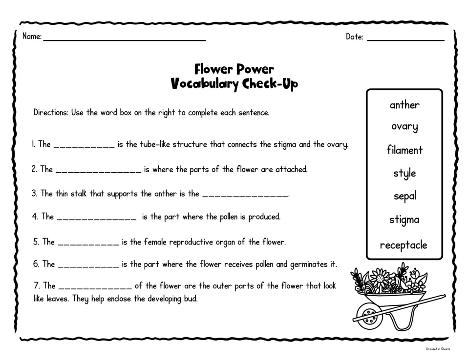 Flower Power Vocabulary Check-Up: students fill in seven sentences about flower parts using a word bank of part names