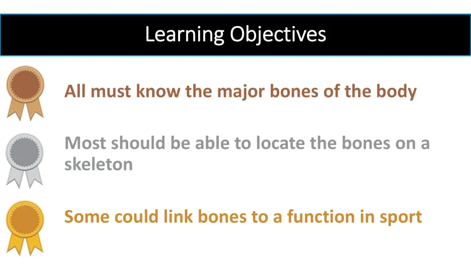 Learning objectives slide: know major bones, locate them on a skeleton, and link bones to a function in sport