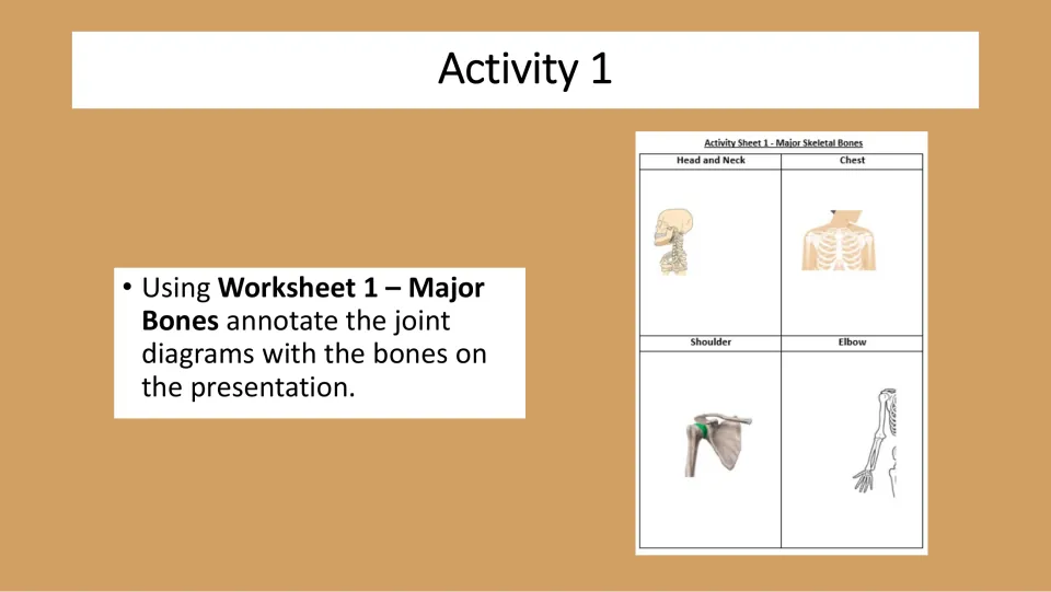 Activity 1 slide directs students to annotate joint diagrams on Worksheet 1 using bones from the presentation