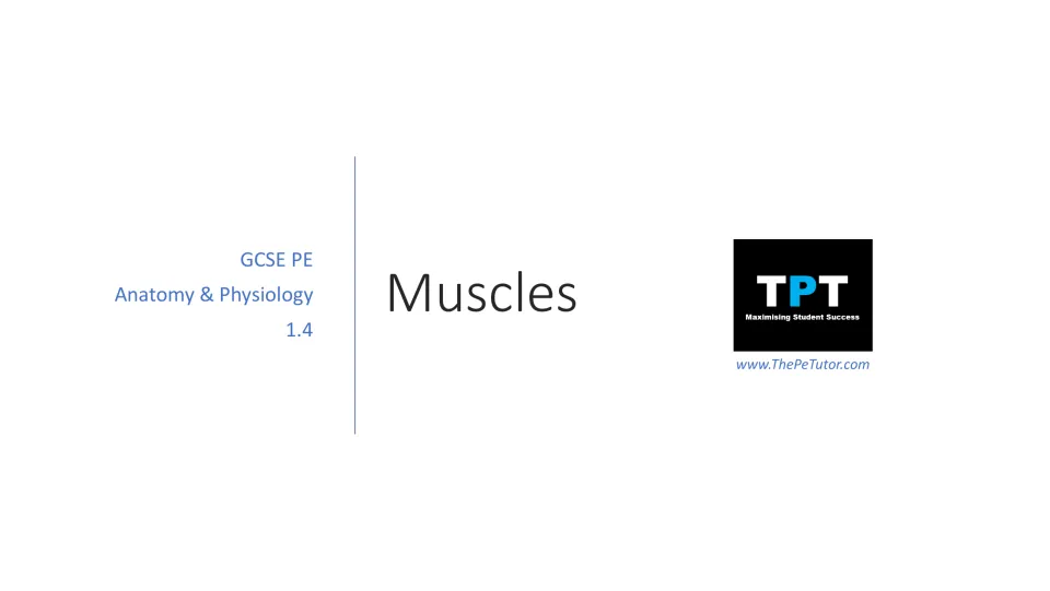 Muscles lesson cover identifying GCSE PE Anatomy & Physiology section 1.4 and The PE Tutor branding