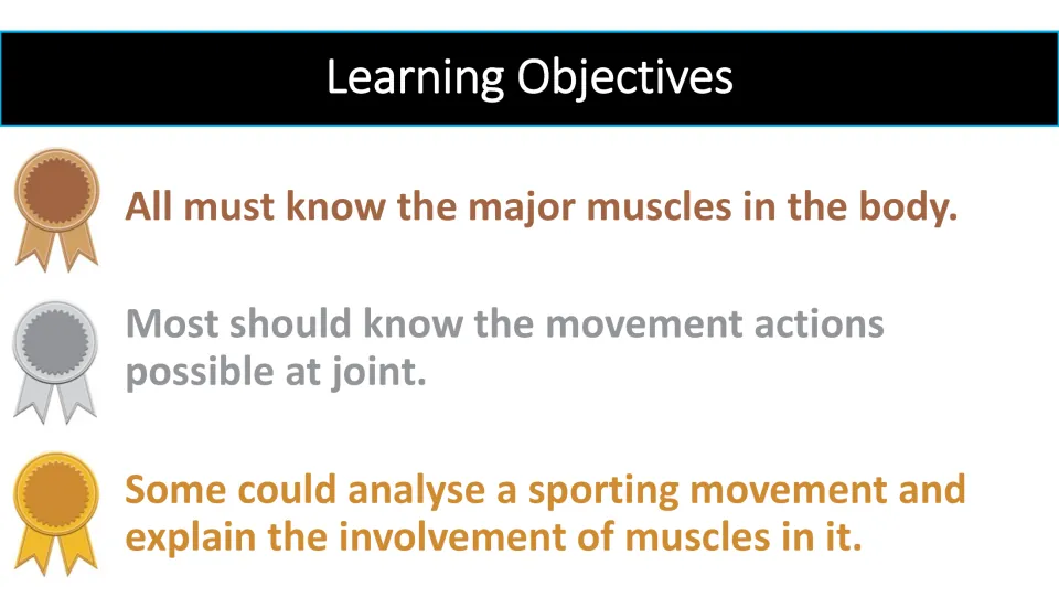 Lesson objectives: identify major body muscles, know joint movements, and analyze muscles in sporting actions