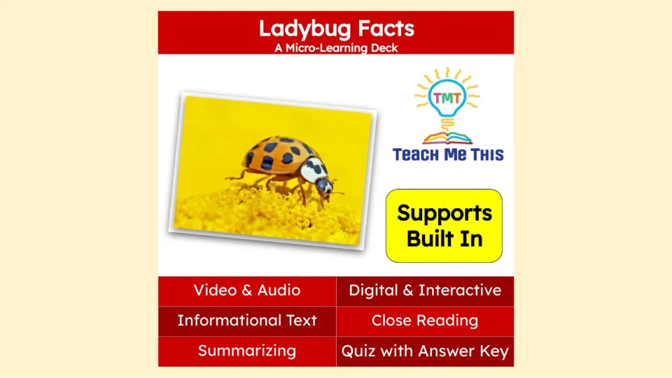 Ladybug Facts cover introducing a micro-learning deck with video, audio, informational text, and a quiz
