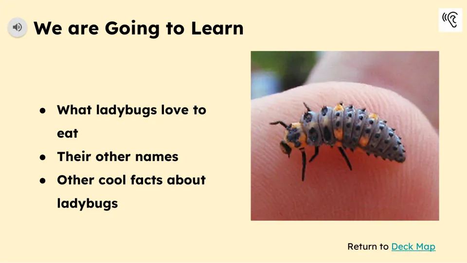 Learning preview covering what ladybugs eat, their other names, and other facts, beside a larva photograph