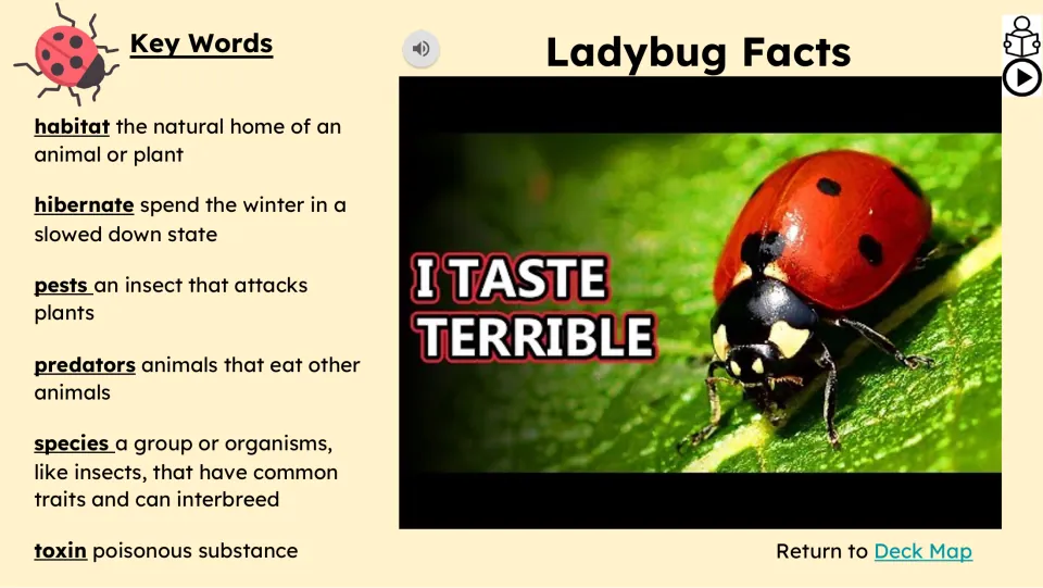 Video lesson slide defining habitat, hibernate, pests, predators, species, and toxin beside a ladybug video