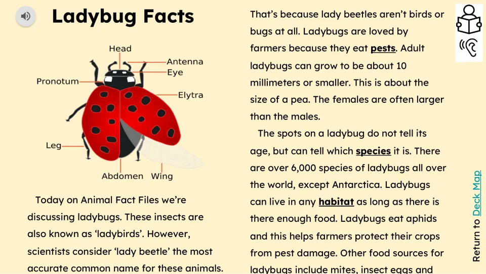 Reading passage opening with a labeled ladybug diagram and facts about names, size, spots, habitats, and food