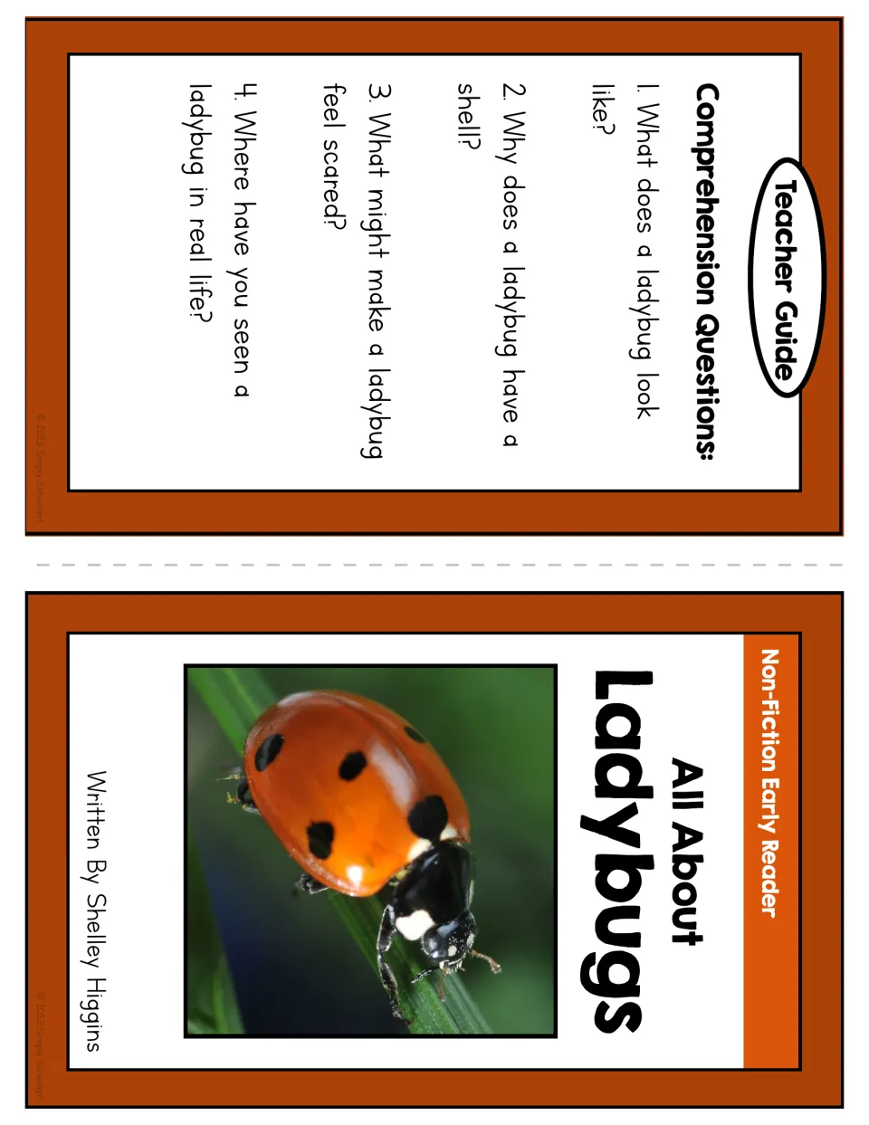 Booklet cover and teacher guide with four questions about ladybug appearance, shells, fear, and sightings