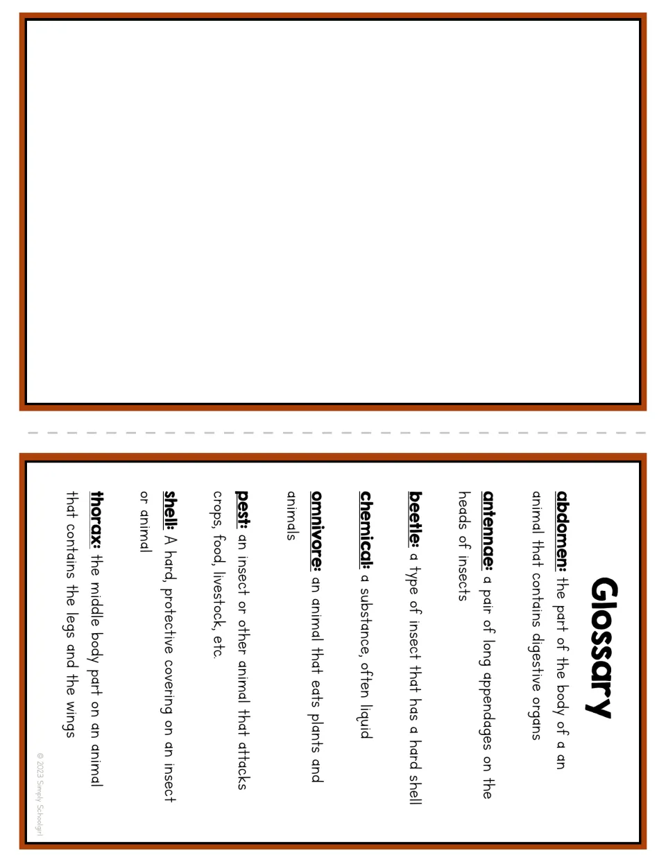 Booklet glossary defining abdomen, antennae, beetle, chemical, omnivore, pest, shell, and thorax