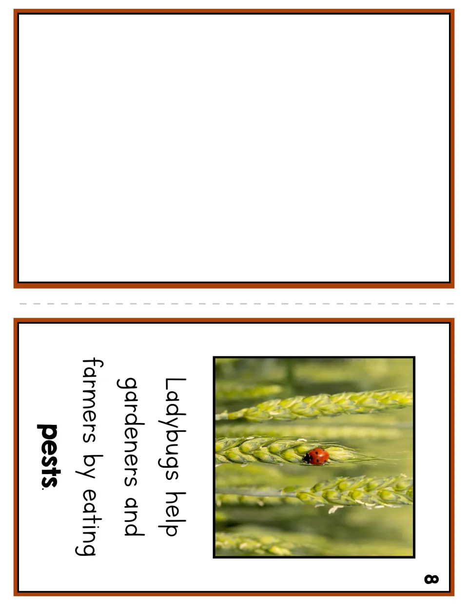 Reader page 8 explains that ladybugs help gardeners and farmers by eating pests, beside a ladybug photo