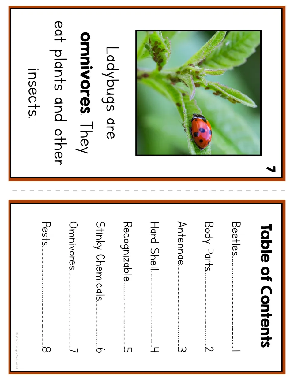 Reader page 7 describes ladybugs as omnivores that eat plants and insects, paired with the table of contents