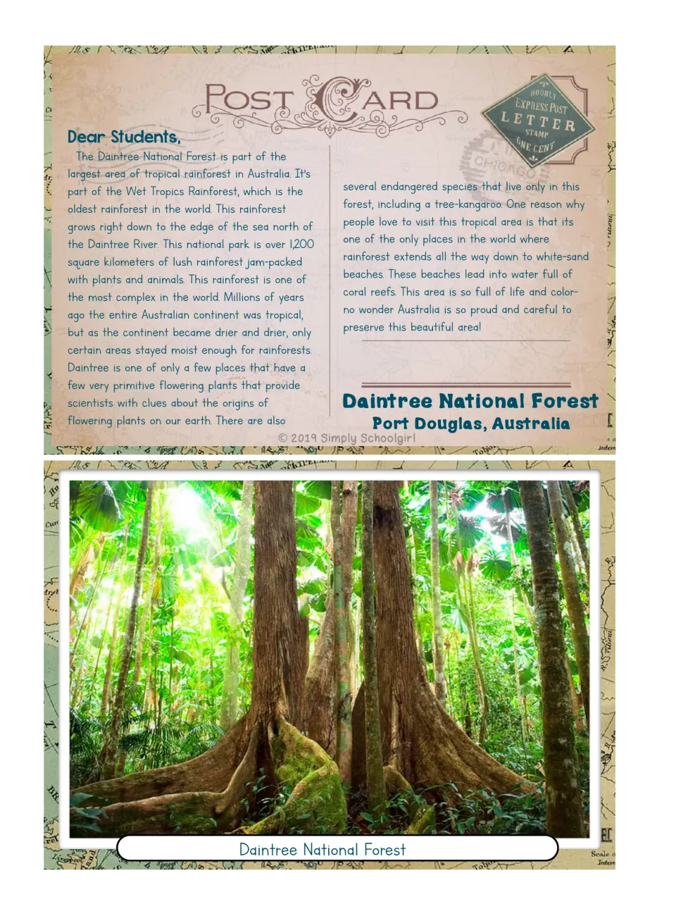 Daintree National Forest postcard: a letter on the tropical rainforest that meets the sea, with a photo of tall trees