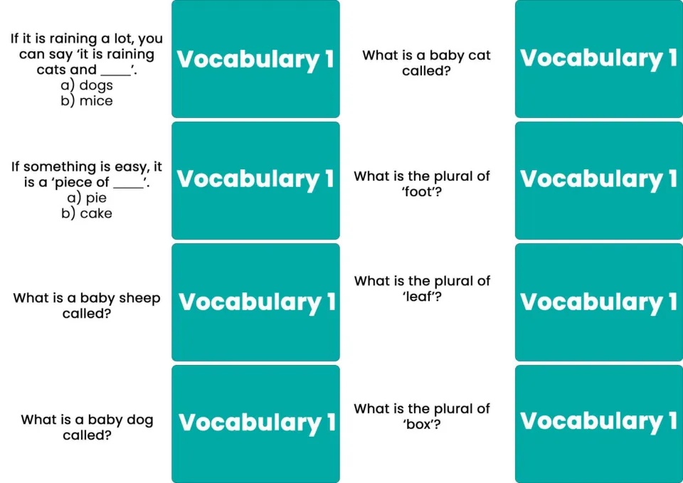 Eight Vocabulary 1 cards cover raining cats and dogs, piece of cake, baby animals, and foot, leaf, box plurals.