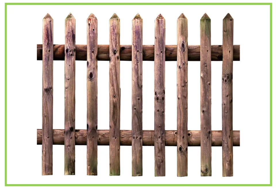 Unlabeled picture card of a weathered wooden picket fence with pointed posts and two rails, for students to name