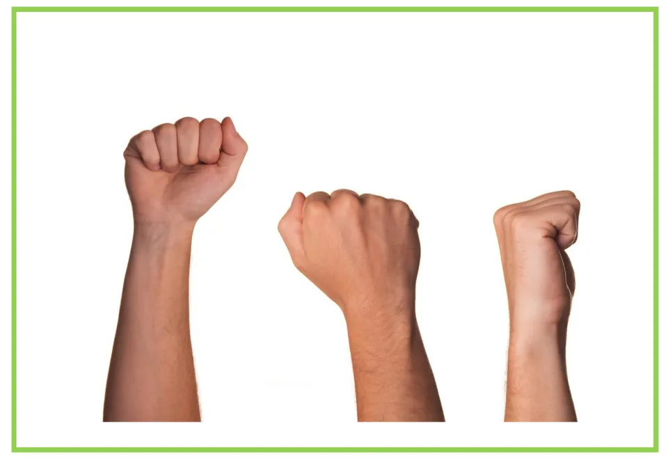 Picture-only body vocabulary flashcard showing three hands held in fists, paired with the labeled hand card