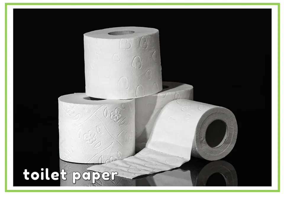 Labeled hygiene vocabulary flashcard showing toilet paper rolls with the English words 'toilet paper'