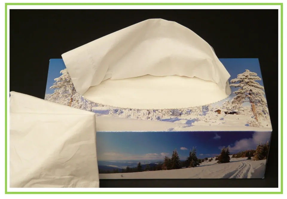 Picture-only hygiene vocabulary flashcard showing a tissue box with a tissue pulled out and loose tissues