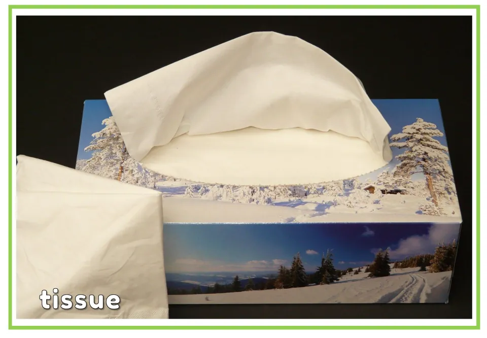 Labeled hygiene vocabulary flashcard showing a tissue box and loose tissues with the English word 'tissue'