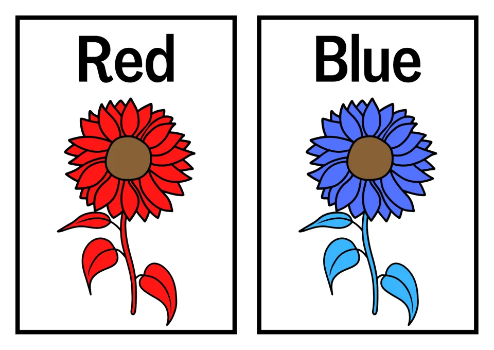 Red and Blue word posters: each name is printed above a sunflower in that shade so children can match words to colors