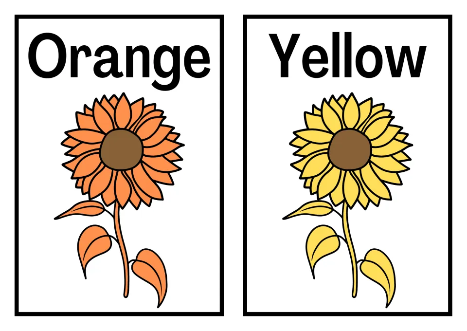 Orange and Yellow posters: each word sits above a sunflower of the same hue for linking printed names to colors