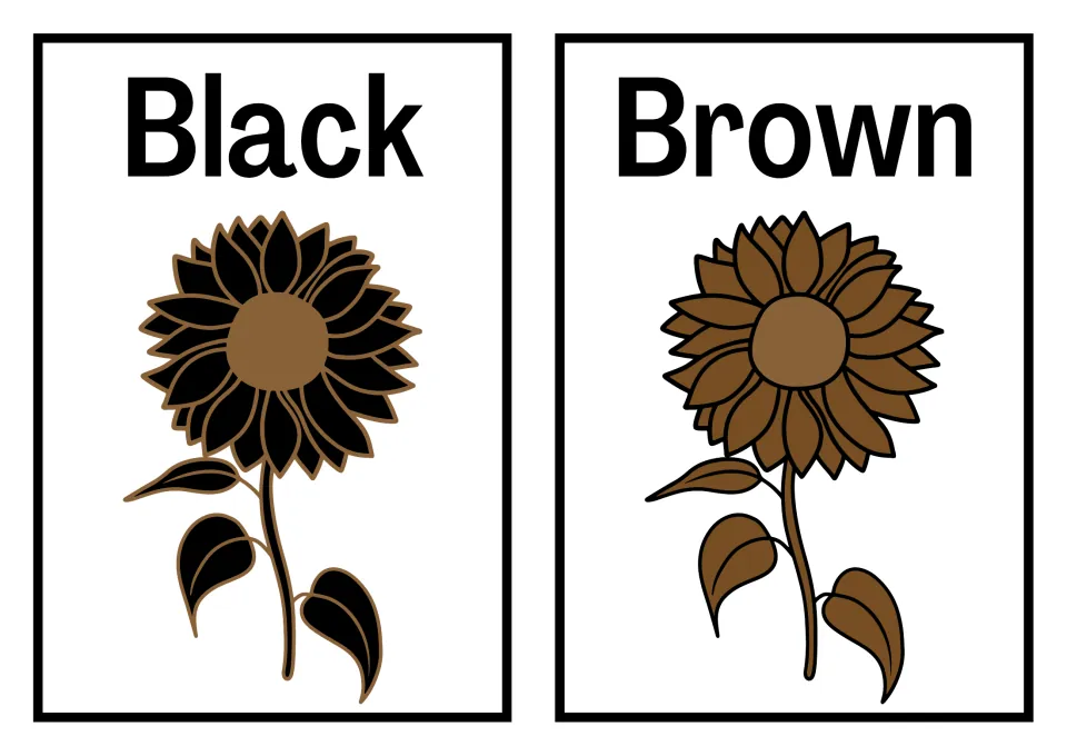 Black and Brown posters: a dark sunflower with tan outlines under Black and a brown one under Brown for color words