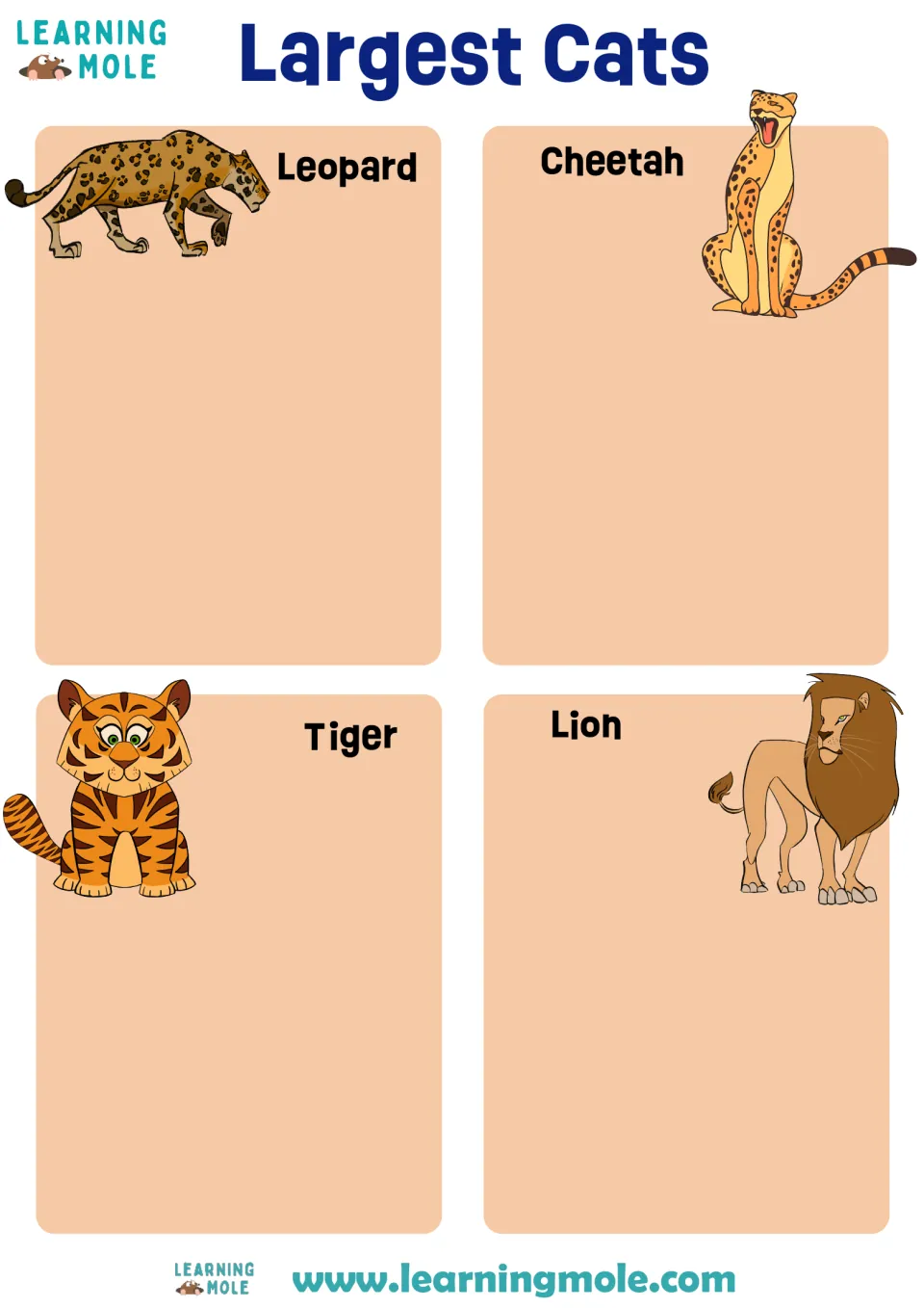 Big cat sorting mat: students glue fact cards under illustrated leopard, cheetah, tiger and lion headings