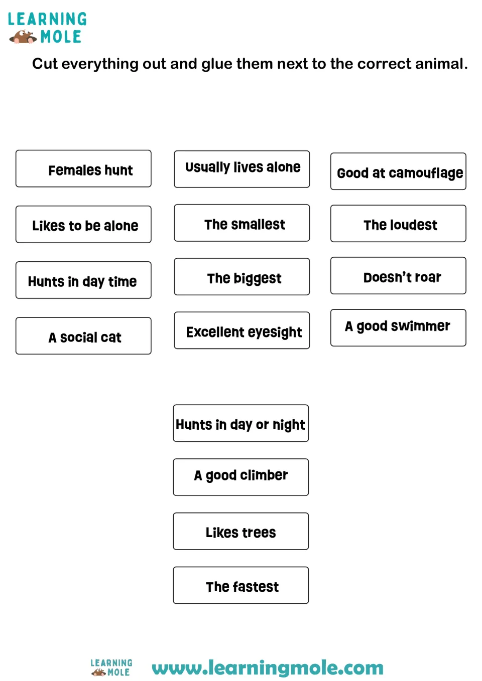 Big cat traits: students cut out 16 fact cards like The fastest and Doesn't roar, then match each to the correct cat