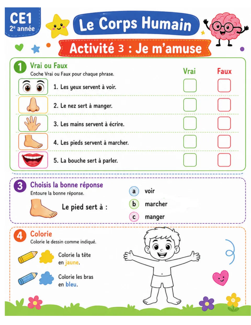 Body-parts review includes true or false, a foot-function question, and coloring the head yellow and arms blue.