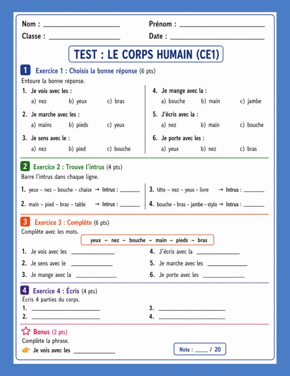 Body vocabulary test asks students to find chair, table, book, and pen among French body words and fill sentences.