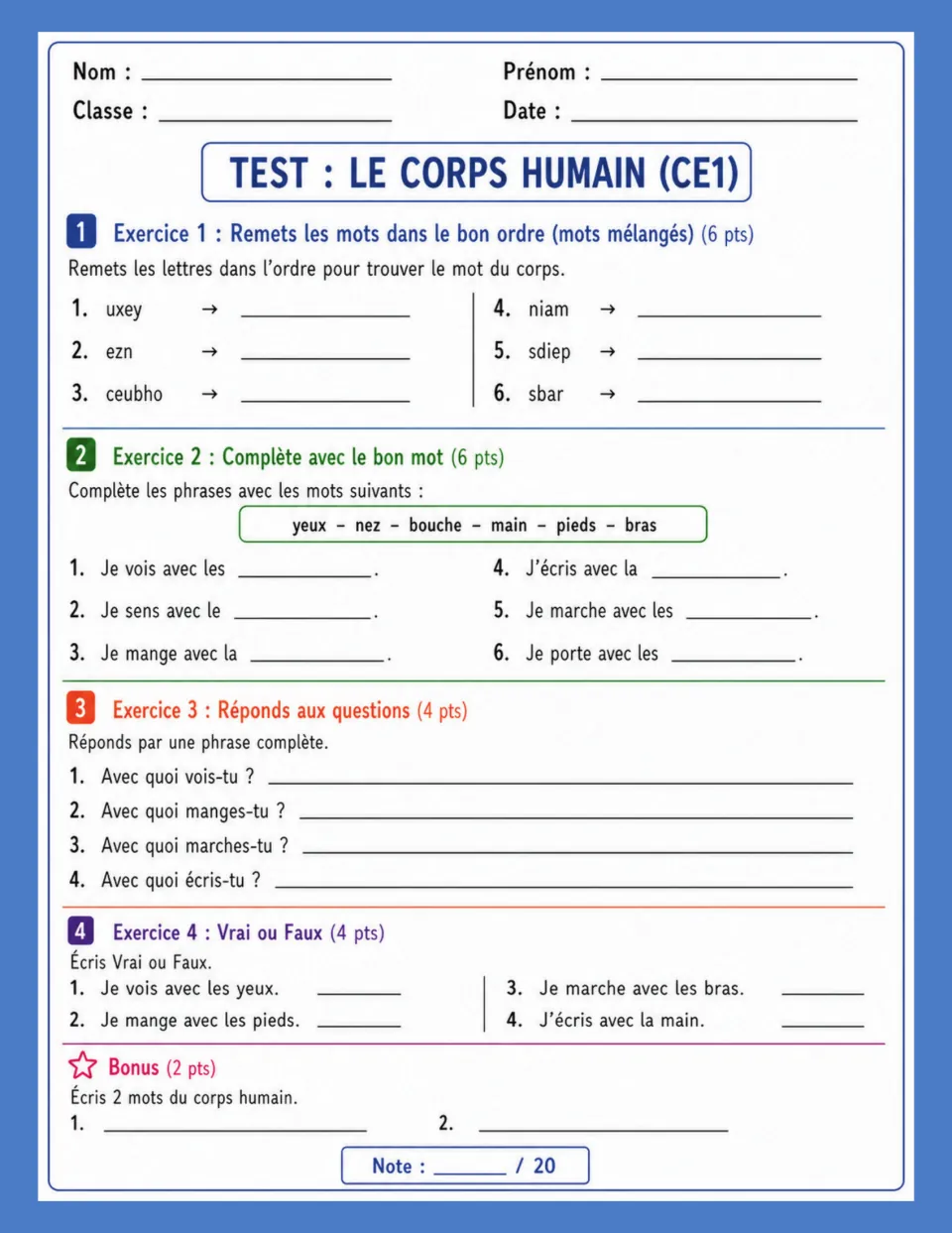 Body vocabulary test includes six letter scrambles, sentence blanks, four full-sentence answers, and true or false.