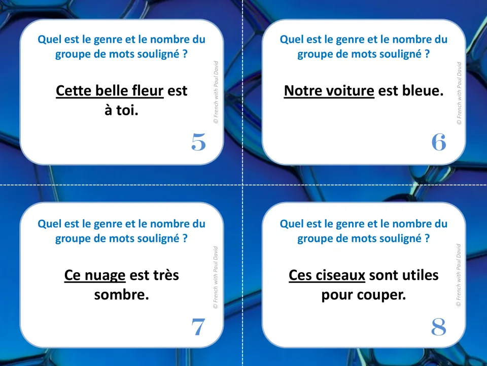 French grammar cards 5–8: identify gender and number in phrases including Notre voiture (our car).