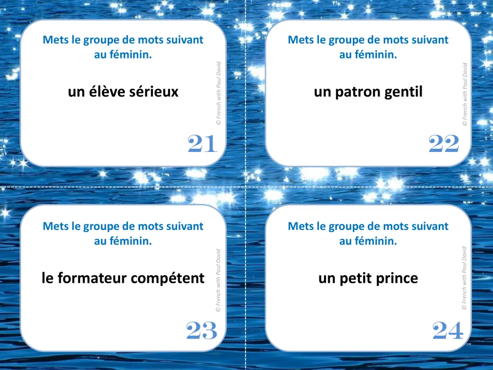 French grammar cards 21–24: make phrases feminine, including un petit prince (a little prince).
