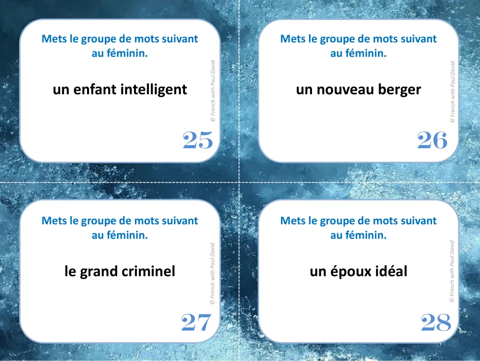 French grammar cards 25–28: make phrases feminine, including un nouveau berger (a new shepherd).