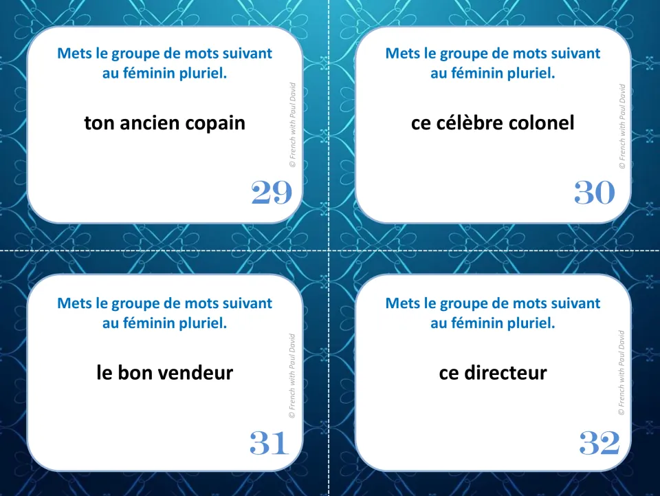 French grammar cards 29–32: make phrases feminine plural, including le bon vendeur (the good salesman).