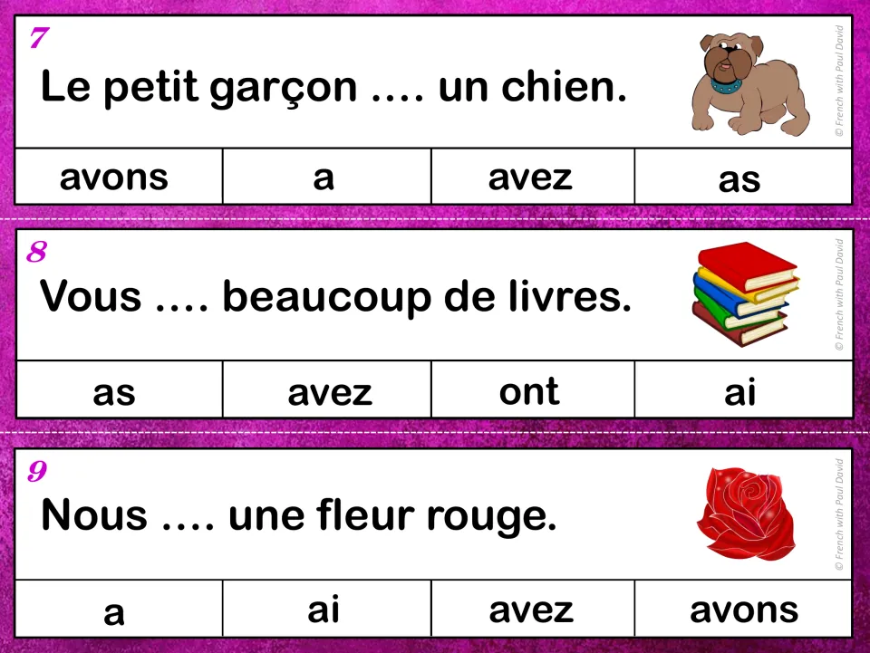 Avoir clip cards 7-9: students select a, avez or avons for sentences about a dog, many books and a red flower