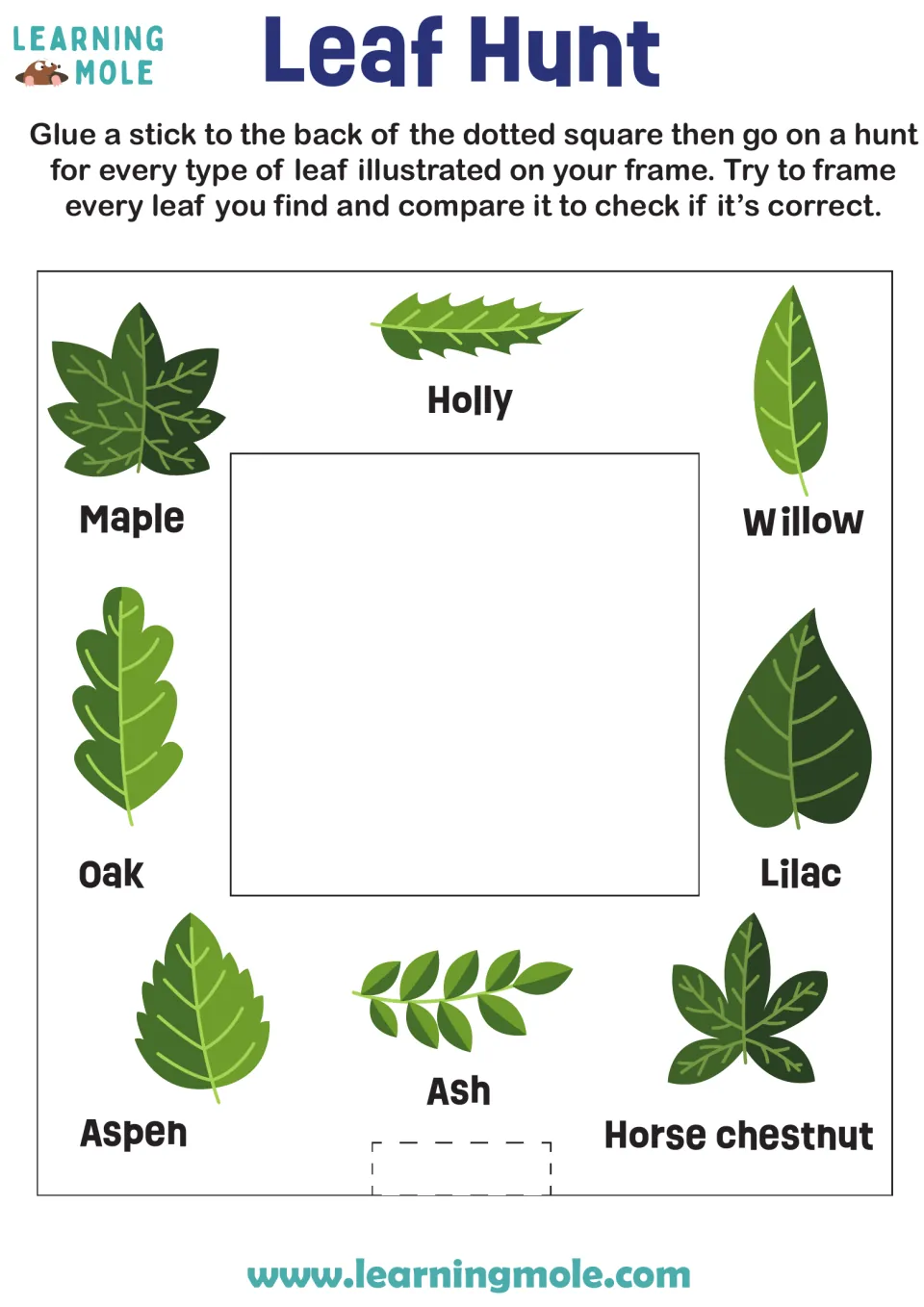 Leaf identification frame: students glue on a stick, then hunt for maple, oak, holly, willow, ash and other pictured leaves