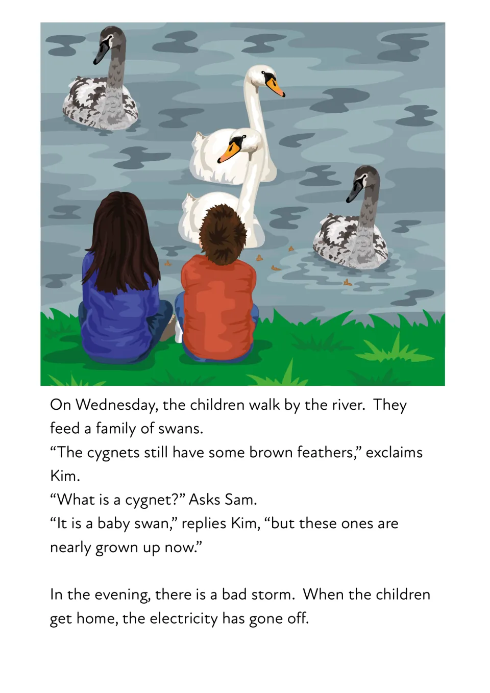 Story reading: Sam and Kim feed swans by the river and learn a cygnet is a baby swan, then a storm cuts the electricity
