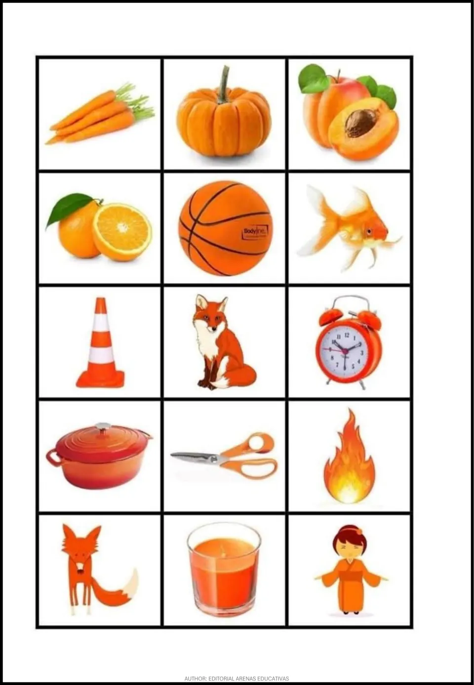 Orange picture cards for color matching: carrots, pumpkin, apricot, orange, basketball, and ten more.