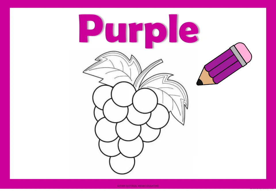Purple color page: students color a bunch of grapes with two leaves purple, matching the word Purple and purple pencil